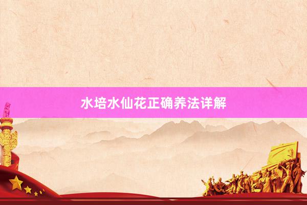 水培水仙花正确养法详解