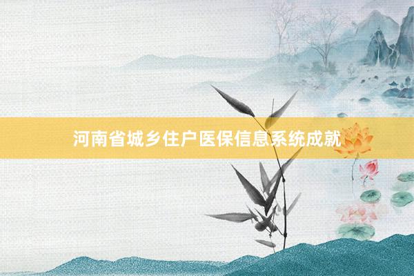 河南省城乡住户医保信息系统成就