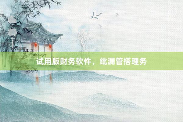 试用版财务软件，纰漏管搭理务