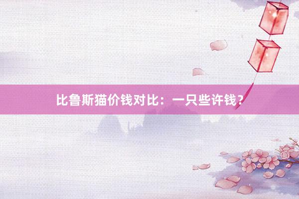 比鲁斯猫价钱对比：一只些许钱？